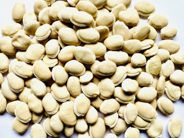 Bai Bian Dou/ Hyacinth Bean - 白扁豆 250g
