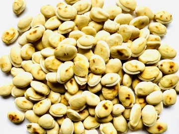 Bai Bian Dou/ Hyacinth Bean (Chao/ Dry Fried ) 炒白扁豆 250g