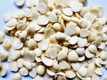 Bei Xing Ren/ Apricot Seeds 北杏仁 350g 