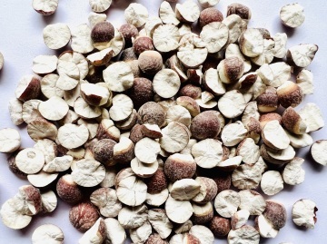 Qian Shi/ Euryale Seeds/ Foxnut 芡實 250g 