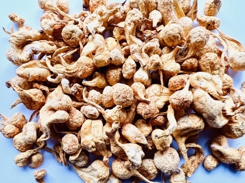 Chong Cao Hua Head/ Premium Cordyceps Flower Head (Grade: AA) 蟲草花(孢子頭-特級) 250g 