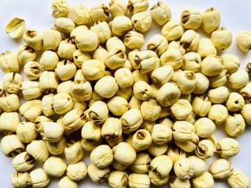 Lian Zi/ Lotus Seeds 蓮子250g